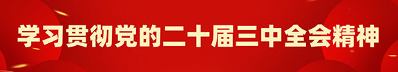 学习贯彻党的二十届三中全会精神