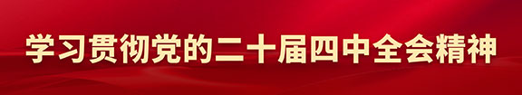 学习贯彻党的二十届四中全会精神