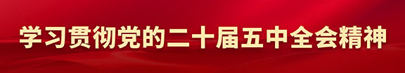 学习贯彻党的二十届五中全会精神
