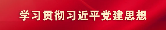 学习贯彻习近平党建思想