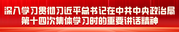 深入学习贯彻刀近平总书记在中共中央政治局第十四次集体学习时的重要讲话精神