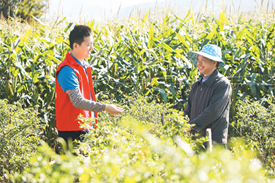 1710120385176097956.png QQ图片20240311092357.png